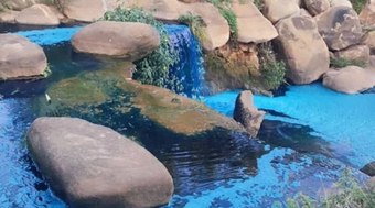 Vazamento%20de%20corante%20deixa%20animais%20azuis%20e%20mata%20peixes