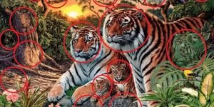 Você é capaz de encontrar 16 tigres na selva? Faça o teste