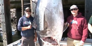 Pescador quebra recorde ao capturar atum de 506 quilos