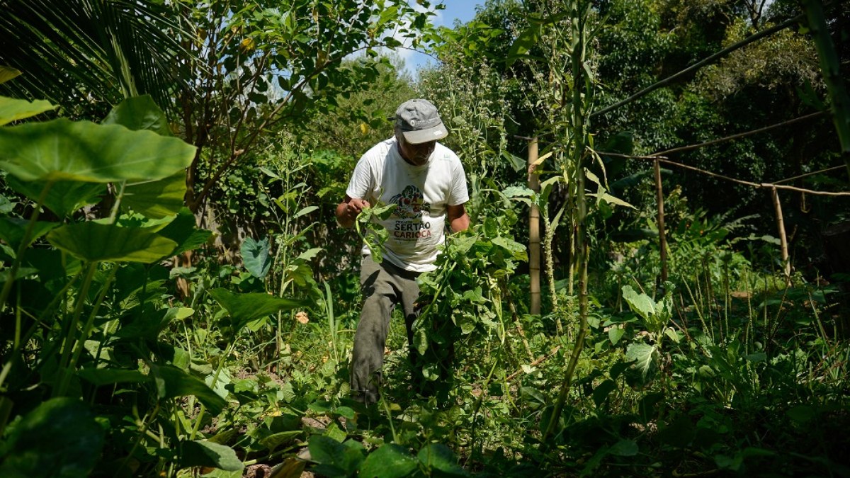 Apesar de produzirem os alimentos, moradores do campo ainda correm mais risco de fome do que quem mora nas cidades