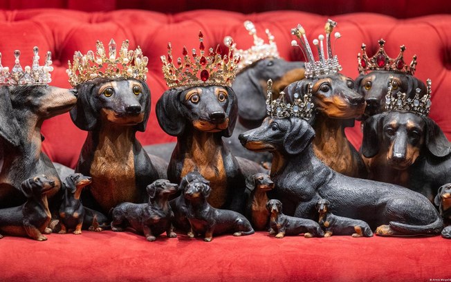 Museu em Regensburg tem mais de 30 mil itens relacionados aos dachshunds