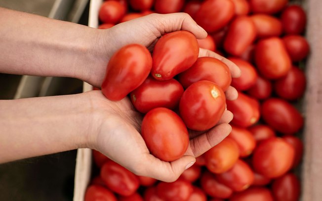 Fugini explica tecnologia do molho de tomate sem conservante