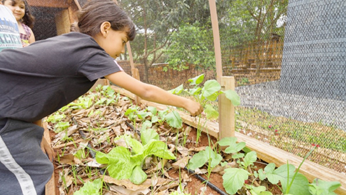 Curso gratuito discute como preparar escolas para os impactos das mudanças climáticas Curso gratuito discute como preparar escolas para os impactos das mudanças climáticas