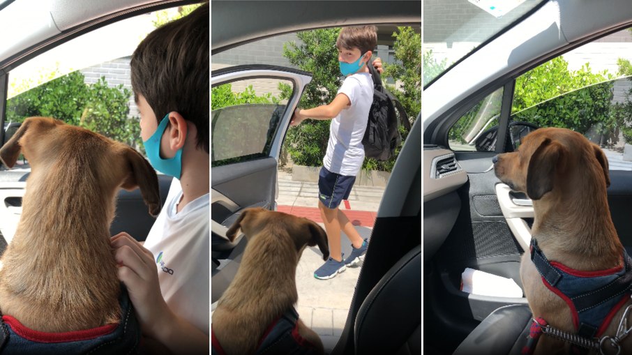 Caramelo chora ao ver o melhor amigo ir para a escola