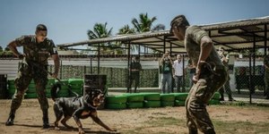 STM torna réus 7 cabos do Exército por trote violento em colega