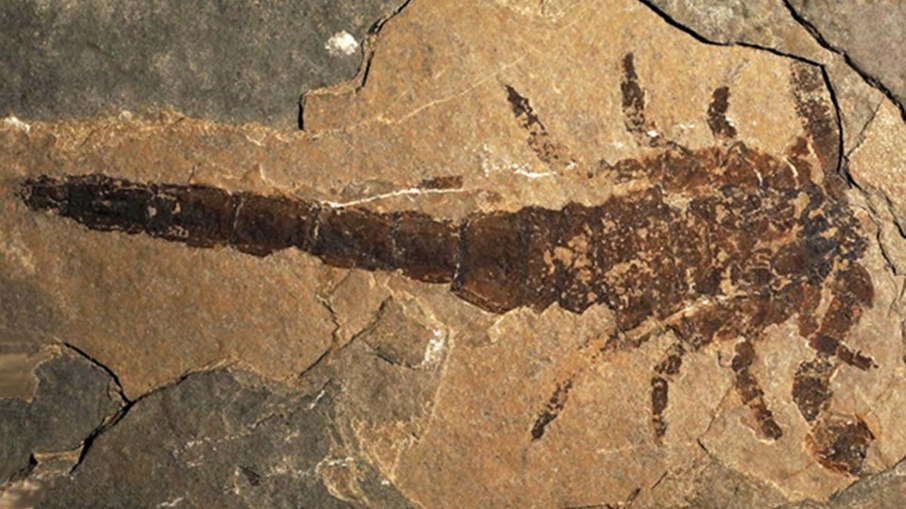 Eramoscorpius