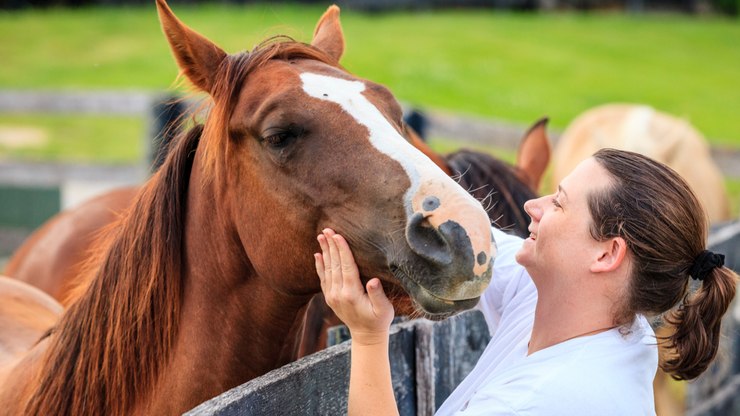 Saiba o que é necessário para ter um cavalo como animal de estimação