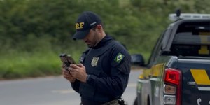 PRF lança Operação São João 2026 nas rodovias federais da Bahia