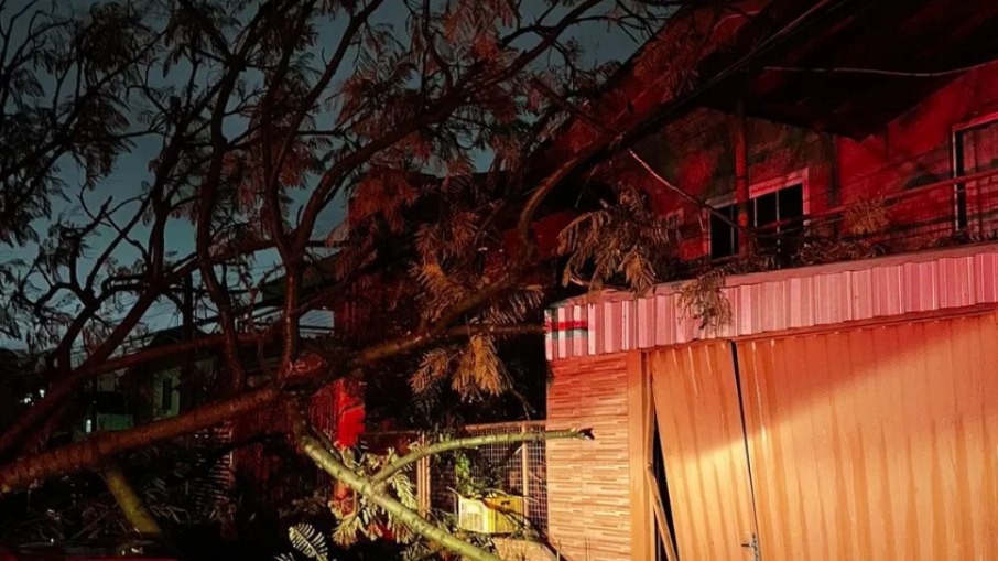 Queda de árvore atingiu casa e carro em Chapecó, em Santa Catarina