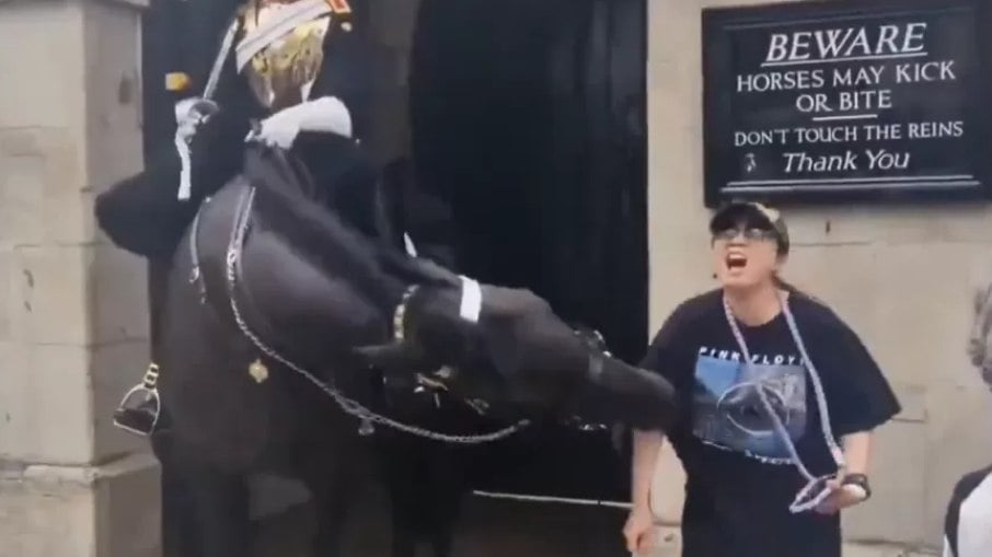 Cavalo da guarda real morde turista na Inglaterra