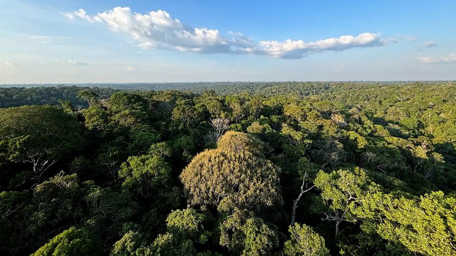 PL que cria a Lei de Licenciamento Ambiental foi aprovada no Senado PL que cria a Lei de Licenciamento Ambiental foi aprovada no Senado