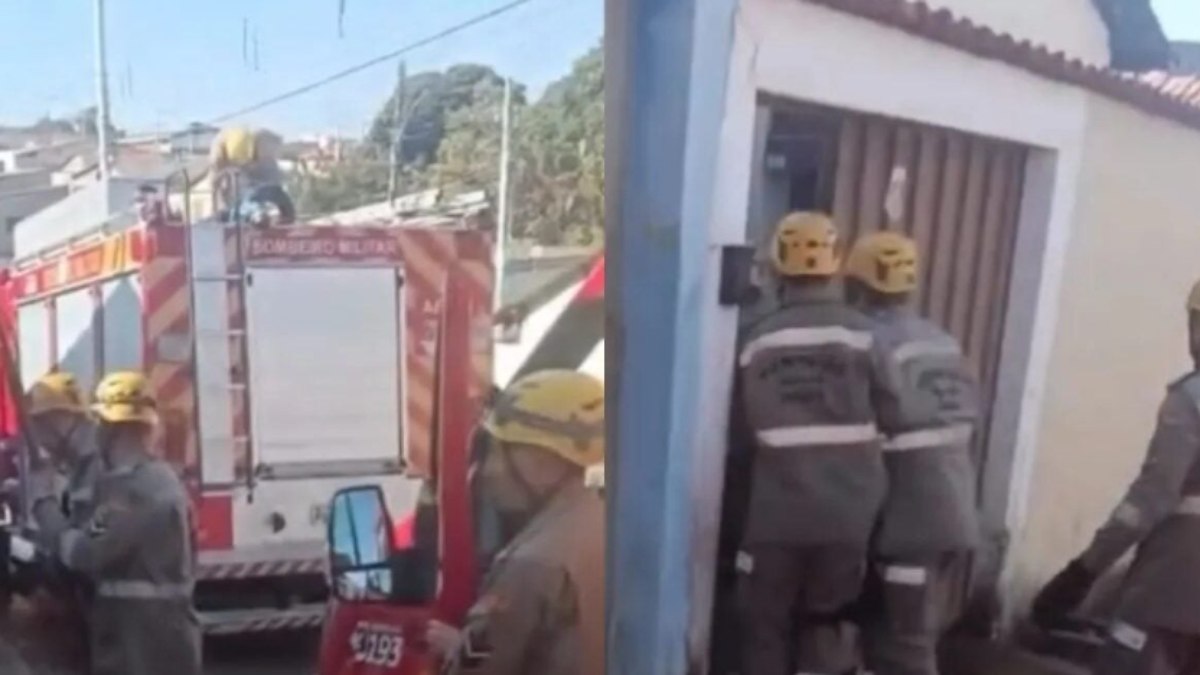 Idosa morre após ser atacada por pitbull Idosa morre após ser atacada por pitbull