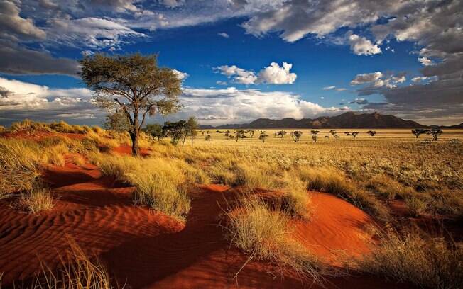 O Deserto de Sossusvlei é uma das principais atrações de Namíbia, mas os passeios na savana também são disputados