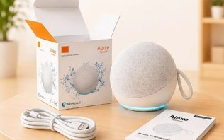 Alexa x Alaxe: o que muda da original para o achadinho de R$ 87