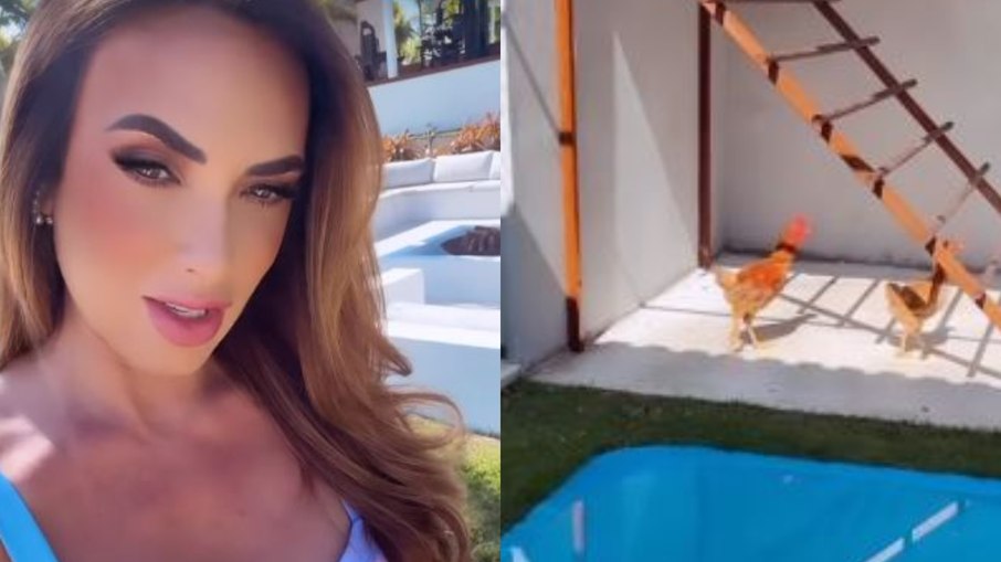 Nicole Bahls mostra galinheiro luxuoso em mansão