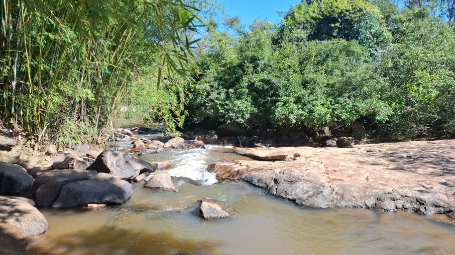 Especialistas reforçam cuidados em áreas com carrapatos e vegetação Especialistas reforçam cuidados em áreas com carrapatos e vegetação