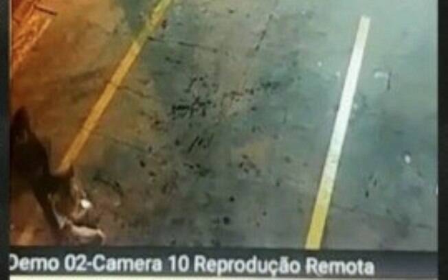 Motorista de aplicativo é flagrado agredindo mulher na zona norte de São Paulo por câmeras de segurança de posto de gasolina
