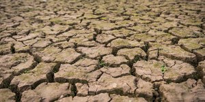 Estiagem: Defesa Civil vê emergência em cidades do Nordeste