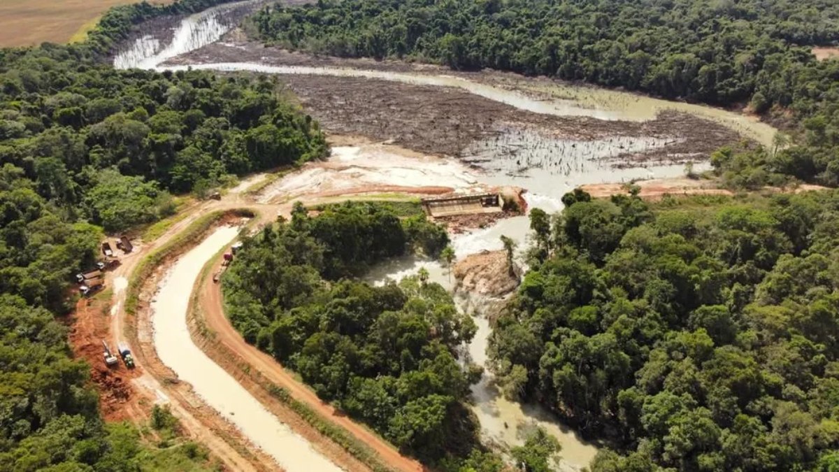 Água invadiu floresta após rompimento de barragem 