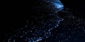 Fenômeno de bioluminescência encanta Maricá (RJ)