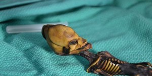 Esqueleto de “alien” é achado em deserto e revela fato curioso