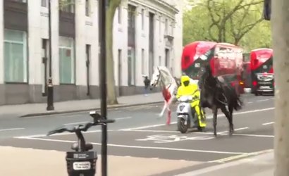 Cavalo ensanguentado corre por Londres e deixa feridos