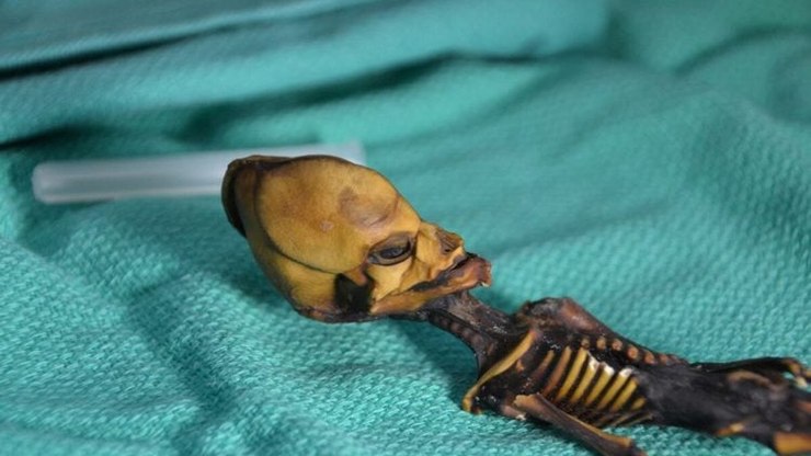 Esqueleto de “alien” é achado em deserto e revela fato curioso