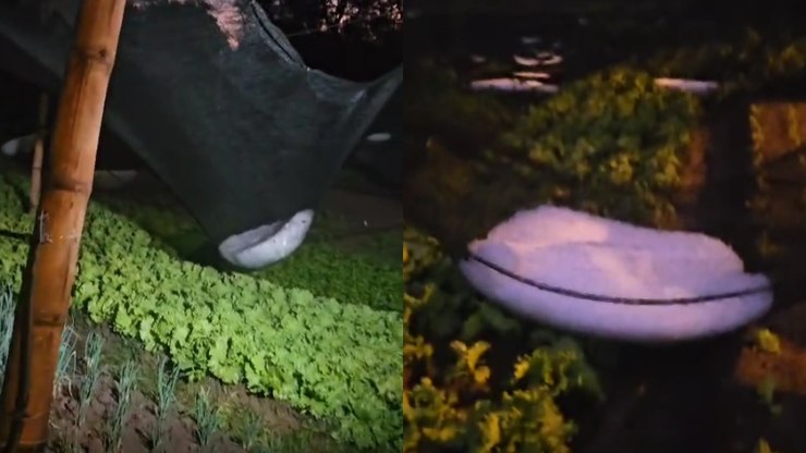 Chuva de granizo atinge Urupês e impressiona moradores