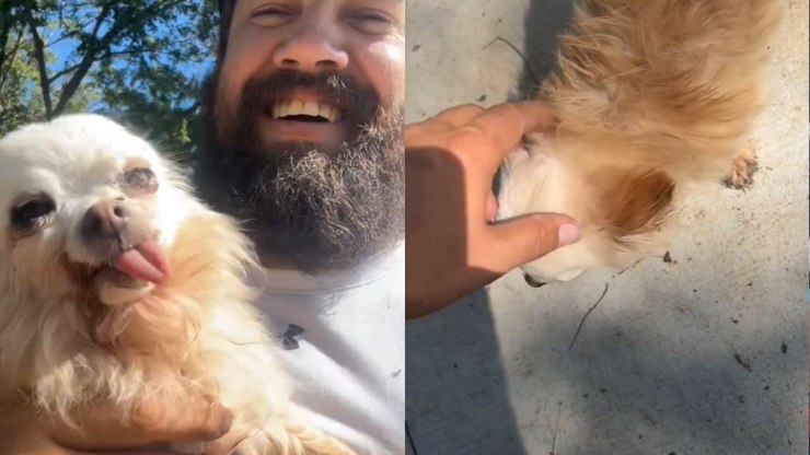 Homem adota cachorro idoso que só fica com a língua para fora