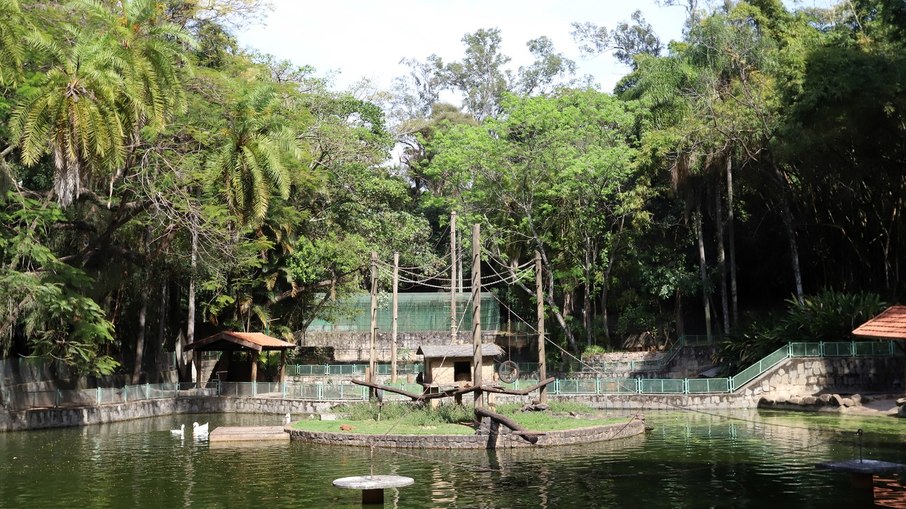 Bosque dos Jequitibás em Campinas