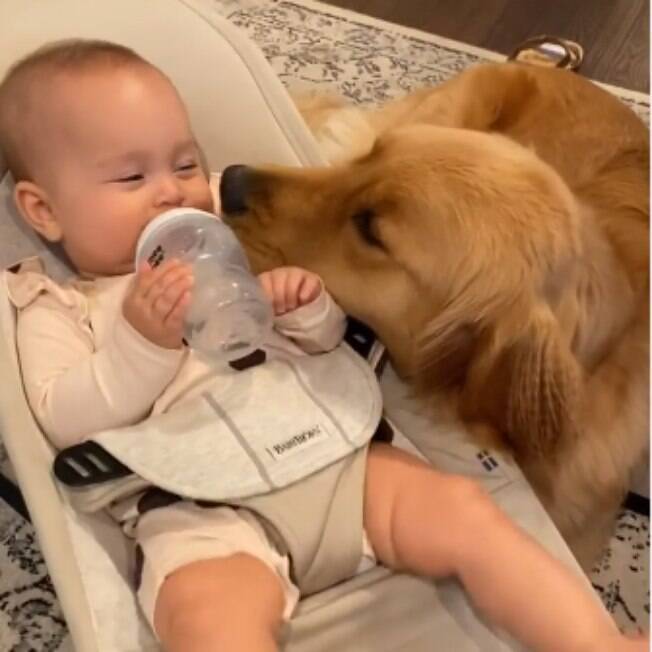 Amizade entre cão e bebê é fofíssima e encanta internautas