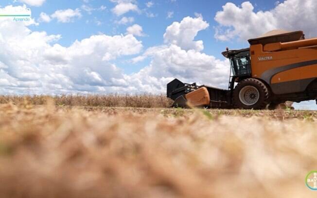 Bayer cria iniciativa para levar gratuitamente informações e conteúdos de alta qualidade a agricultores