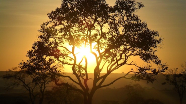 Trilha de 180 km atravessa a Caatinga, Mata Atlântica e Cerrado