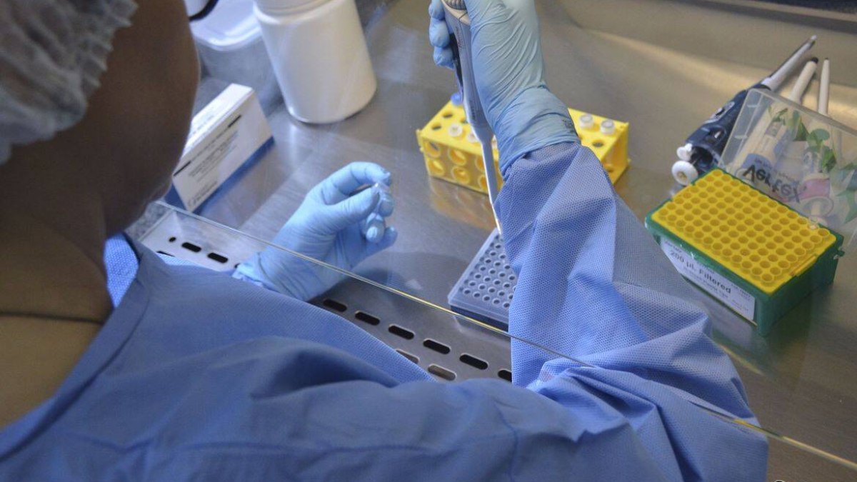 Uma nova cepa da Mpox, chamada clado lb, foi registrada neste ano em São Paulo Uma nova cepa da Mpox, chamada clado lb, foi registrada neste ano em São Paulo