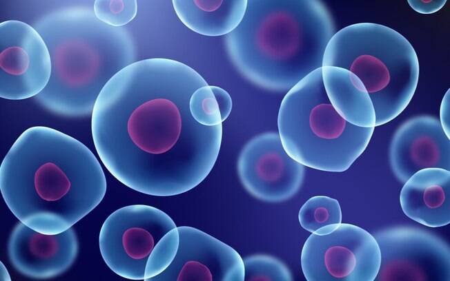 Estude para o Enem: entenda o que é a biologia celular
