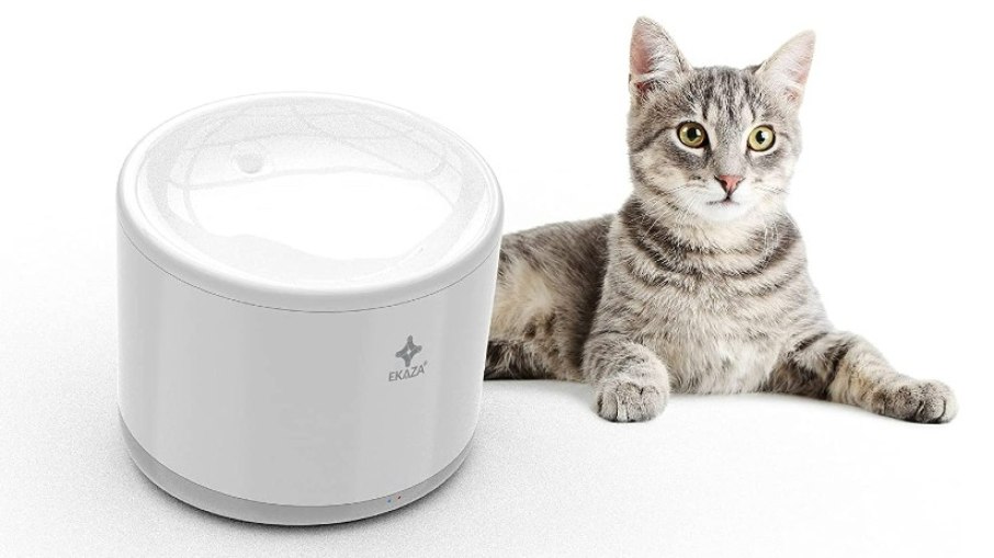 Bebedouro Inteligente com Alexa para cães e gatos da Ekaza