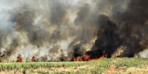 BR-040: queimadas triplicam e rodovia faz parceria com Climatempo