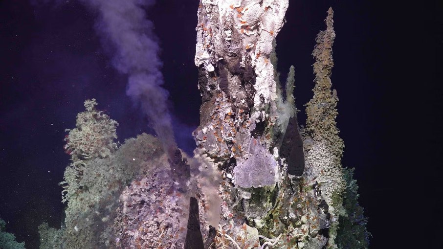 Vulcão submarino axial na costa do Oregon pode entrar em erupção a qualquer momento Vulcão submarino axial na costa do Oregon pode entrar em erupção a qualquer momento