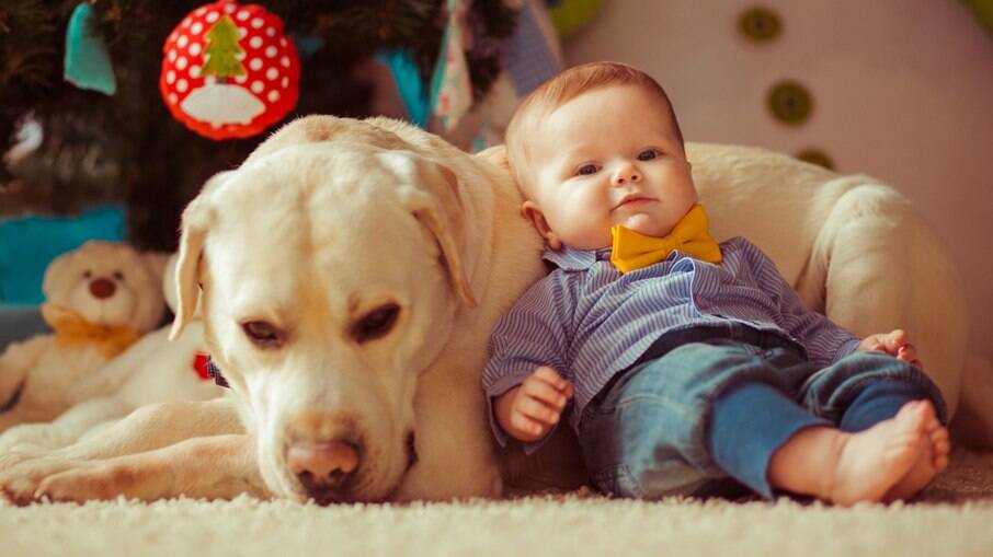 A forma como os tutores tratam o cachorro após a chegada do bebê interferem na forma como o pet verá o novo humanos