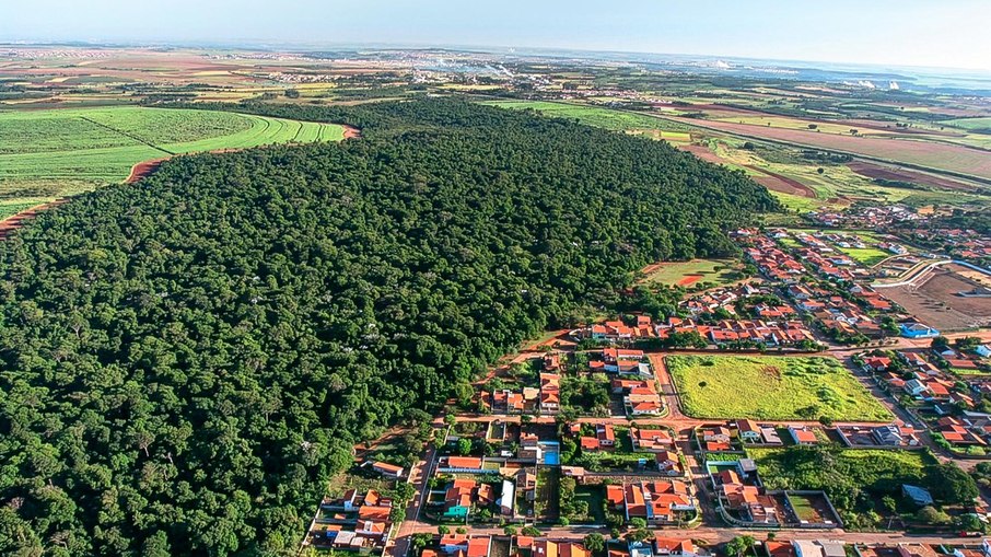 Mata de Santa Genebra, fragmento de Mata Atlântica, cercada por área urbana, em Campinas Mata de Santa Genebra, fragmento de Mata Atlântica, cercada por área urbana, em Campinas