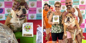 Buldogue Jussara brilha no Carnaval e vence concurso de fantasia