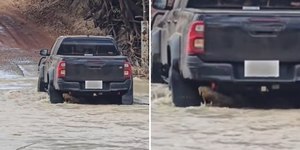 Carro atravessa rio arrastando crocodilo; assista