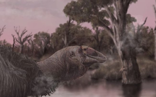 Crânio de ganso-gigante de 45 mil anos é encontrado na Austrália