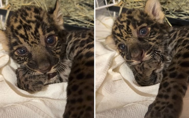 1adpbtnkwy8ys5deydhy8jtys