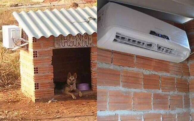 Casinha de cachorro com ar condicionado viraliza nas redes sociais