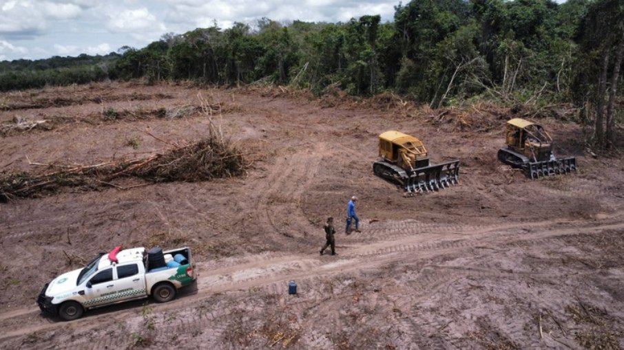 Cerca de 34 hectares de floresta amazônica em Rondônia foram desmatados Cerca de 34 hectares de floresta amazônica em Rondônia foram desmatados
