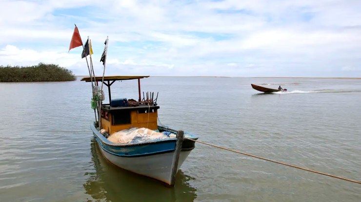 Ap%C3%B3s%2010%20anos%2C%20pesca%20na%20foz%20do%20Rio%20Doce%20%C3%A9%20liberada