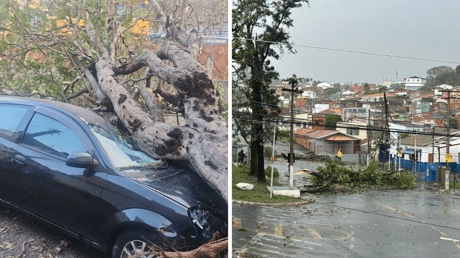 Carro foi atingido por árvore na Vila Lemos e queda também foi registrada no Jardim Guarani