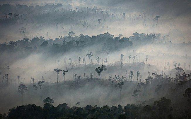 Mercados de carbono fragmentados desafiam liderança do Brasil
