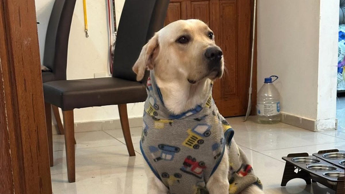 Leonardo em foto na web Leonardo em foto na web